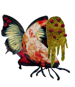 z_Assets/Caligores/Gertrud.webp